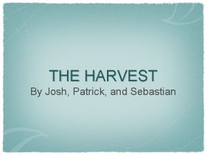 The harvest story summary