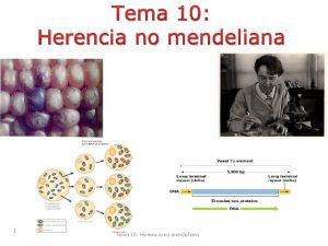 Retrotransposicion