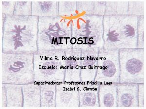 MITOSIS Vilma R Rodrguez Navarro Escuela Mara Cruz