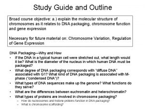 Euchromatin