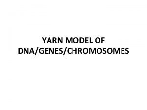 Create a dna model using yarn of different colors