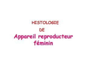 HISTOLOGIE DE Appareil reproducteur fminin PLAN I I