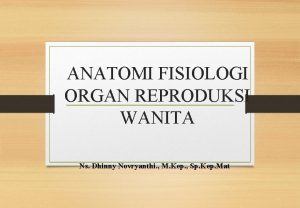 ANATOMI FISIOLOGI ORGAN REPRODUKSI WANITA Ns Dhinny Novryanthi