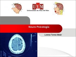 Neuro Psicologa Lorena Torres Meier Sistema Nervioso Anatmicamente