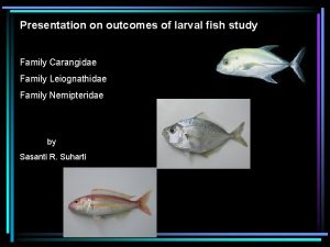 Presentation on outcomes of larval fish study Family