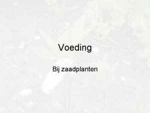 Voeding Bij zaadplanten Wat nemen planten op Bekijk