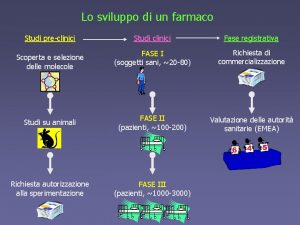 Lo sviluppo di un farmaco Studi preclinici Studi