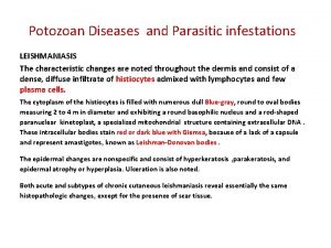 Potozoan Diseases and Parasitic infestations LEISHMANIASIS The characteristic