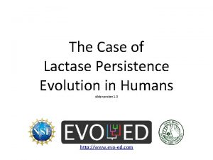 Lactase persistence