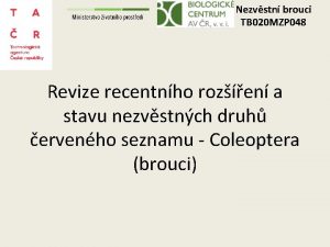 Nezvstn brouci TB 020 MZP 048 Revize recentnho