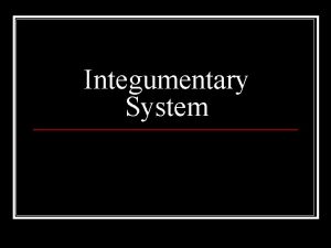 Integumentary System Integumentary System n Skin n Epidermis