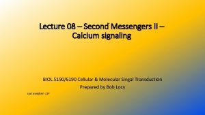 Lecture 08 Second Messengers II Calcium signaling BIOL