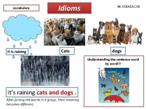 vocabulary It is raining Idioms Cats M ELKADAOUI