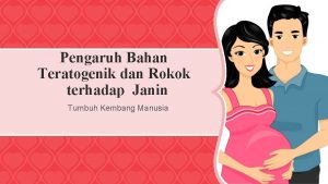 Pengaruh Bahan Teratogenik dan Rokok terhadap Janin Tumbuh