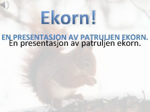 Ekorn EN PRESENTASJON AV PATRULJEN EKORN En presentasjon