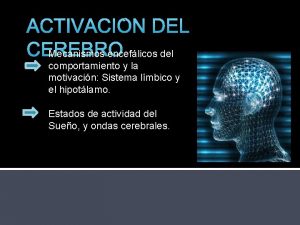 ACTIVACIN DEL CEREBRO Mecanismos enceflicos del comportamiento y