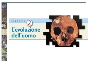 Homo sapiens una specie unica Nella struttura dellocchio