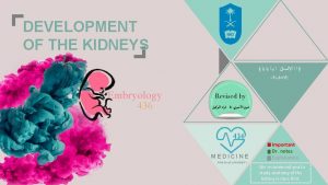 Coelomic cavity embryology