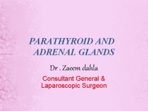 PARATHYROID AND ADRENAL GLANDS Dr Zaeem dahla Consultant