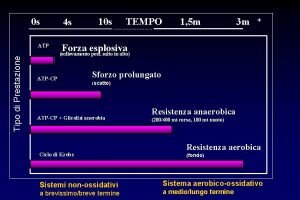 Sindrome iperosmolare non chetosica