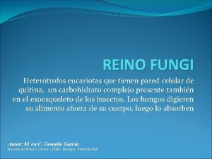 Pared celular reino fungi Pared celular reino fungi