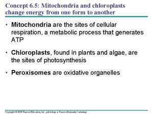 Concept 6 5 Mitochondria and chloroplasts change energy