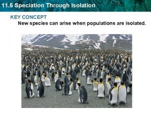 11 5 Speciation Through Isolation KEY CONCEPT New