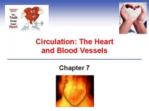 Circulation The Heart and Blood Vessels Chapter 7