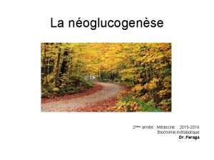 La noglucogense 2me anne Mdecine 2015 2016 Biochimie