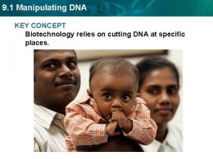 9 1 Manipulating DNA KEY CONCEPT Biotechnology relies