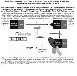 Bioactive Flavonoids and Catechols as Hif 1 and