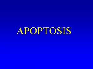 APOPTOSIS Apoptosis N de citacionesao med line Mientras