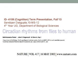 ID 4109 Cognition Term Presentation Fall 13 Sandipan