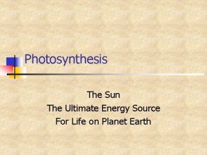 Photosynthesis The Sun The Ultimate Energy Source For