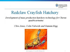 Crayfish hatchery