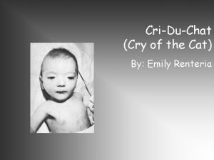 CriDuChat Cry of the Cat By Emily Renteria