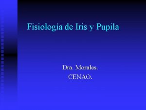 Fisiologa de Iris y Pupila Dra Morales CENAO