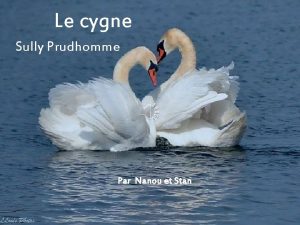 Le cygne Sully Prudhomme Par Nanou et Stan