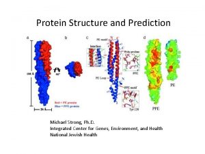 Protein Structure and Prediction Michael Strong Ph D