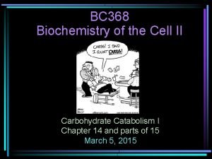 BC 368 Biochemistry of the Cell II Carbohydrate