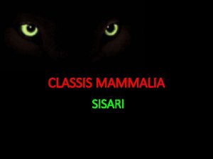 CLASSIS MAMMALIA SISARI Cl Mammalia 1 2 Subcl
