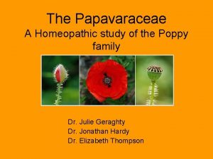 The Papavaraceae A Homeopathic study of the Poppy