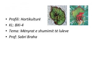 Profili Hortikultur KL BXI4 Tema Mnyrat e shumimit