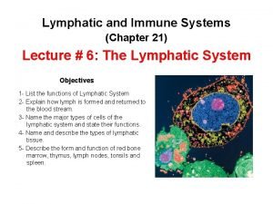 Chapter 24 the immune and lymphatic systems and cancer