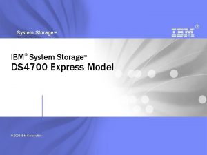 System Storage TM IBM System Storage TM DS