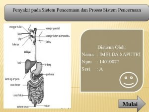 Penyakit pada Sistem Pencernaan dan Proses Sistem Pencernaan