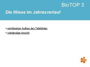 Wiese im jahresverlauf