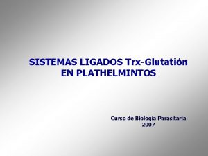 SISTEMAS LIGADOS TrxGlutatin EN PLATHELMINTOS Curso de Biologa
