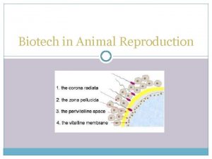 Artificial insemination biotechnology