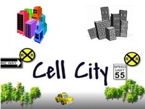 Cytoplasm cell city
